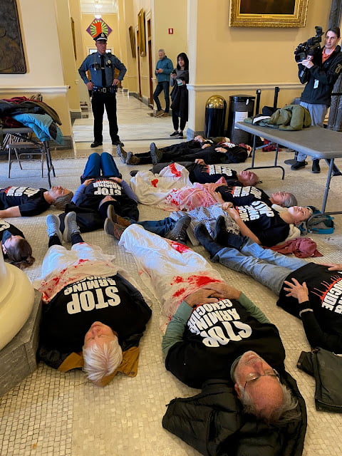 Maine DSA Joins Palestine Coalition