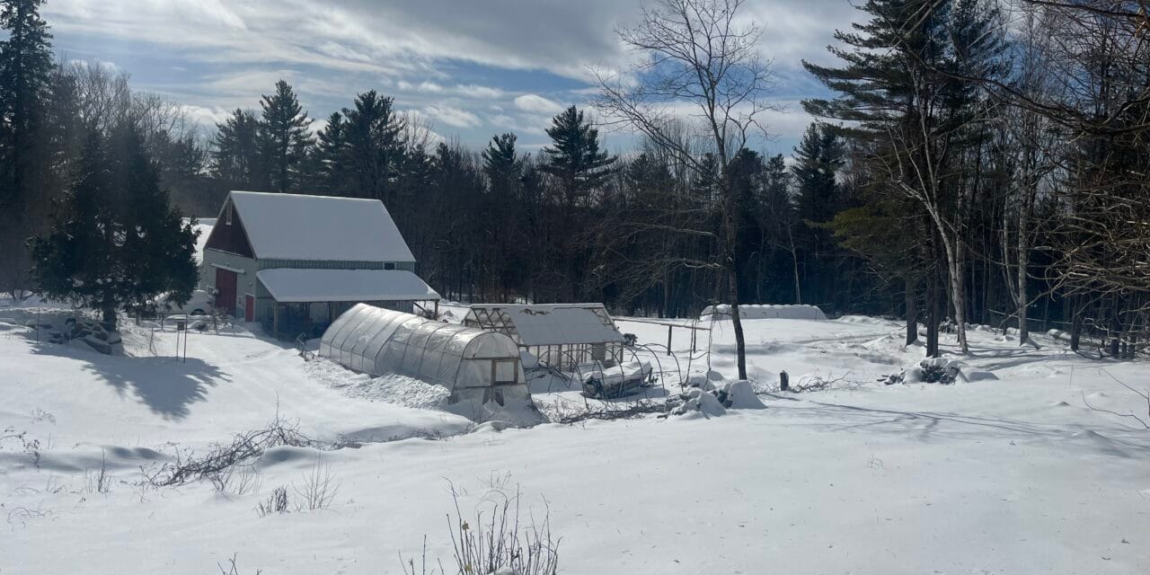 Trump leaves Maine farms out in the cold