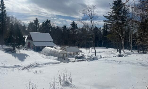 Trump leaves Maine farms out in the cold