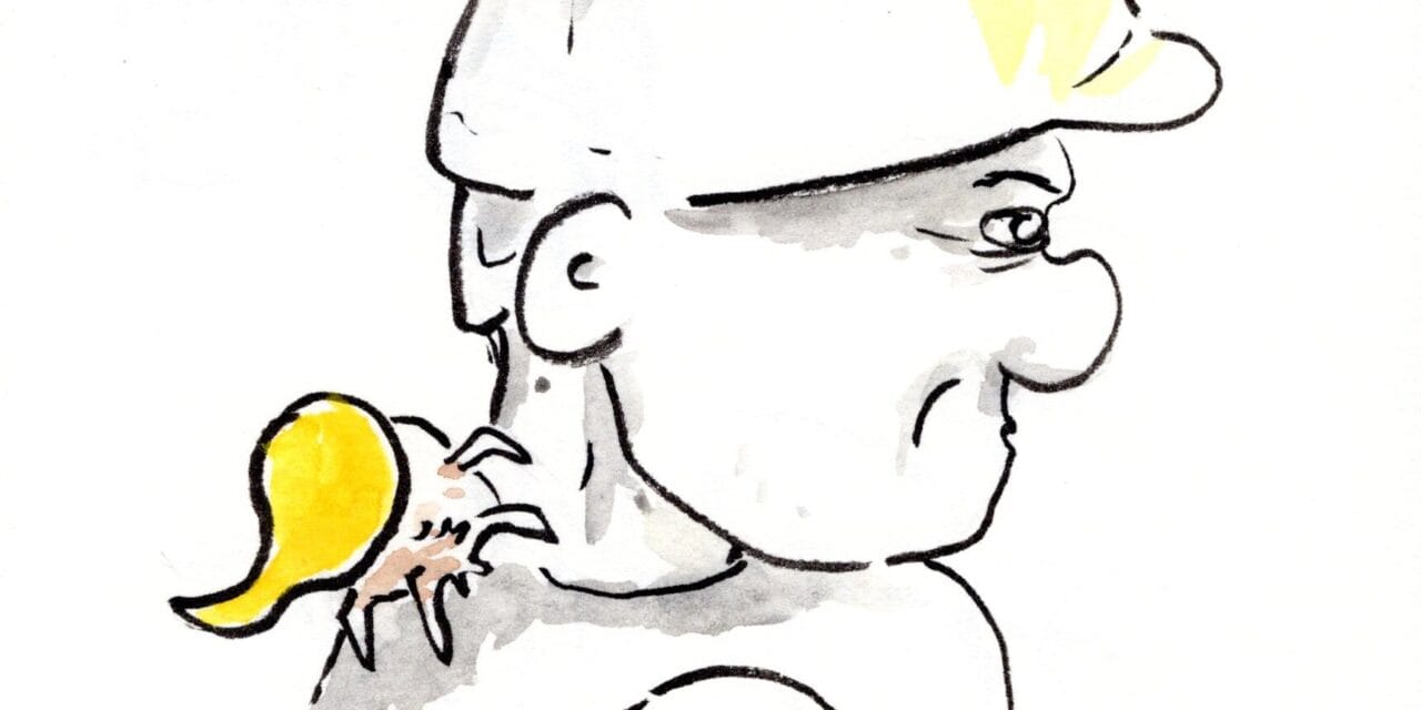 Political Cartoons, February 2026