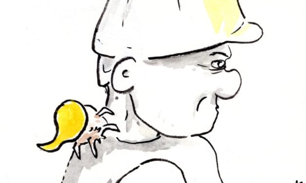 Political Cartoons, February 2026