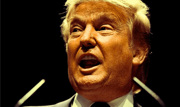 Aiming for Trump’s Achilles’ Heel: MAGA Before the Elections, Part II